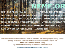 Tablet Screenshot of nemf.org